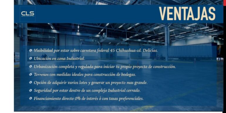 Diapositiva10