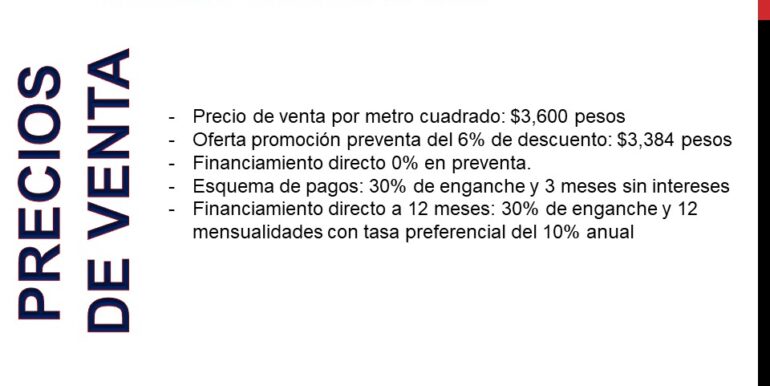 Diapositiva11