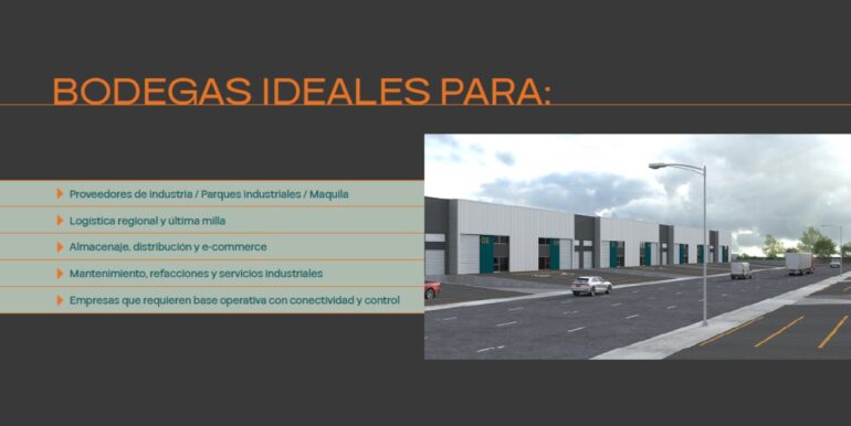 Diapositiva7