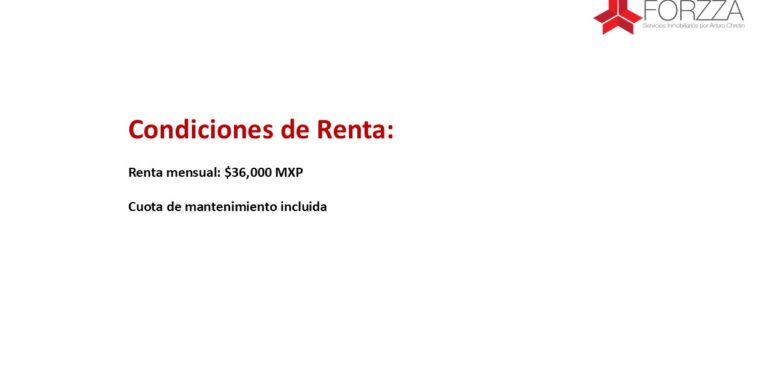 Diapositiva14